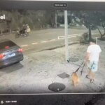 Sábado tem mais uma edição da Feira de Adoção Pet no Shopping Madureira