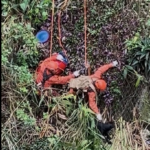 Corpo de Bombeiros resgata cachorro em difícil de acesso do Pavão-Pavãozinho
