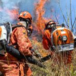 Corpo de Bombeiros registra redução de 33% nas ocorrências de incêndios em vegetação no Rio