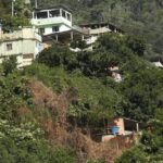 Rio cria plano para arborizar favelas e reduzir impactos do calor extremo