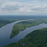 Redução do desmatamento no Brasil pode gerar R$ 1,16 trilhão para a economia mundial